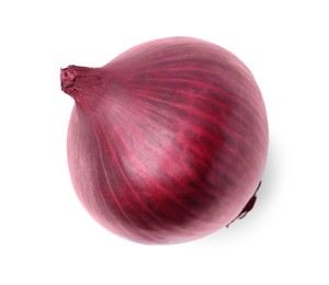 One fresh red onion on white background, top view