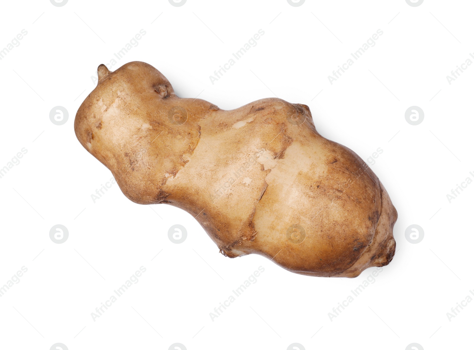 Photo of One raw Jerusalem artichoke isolated on white