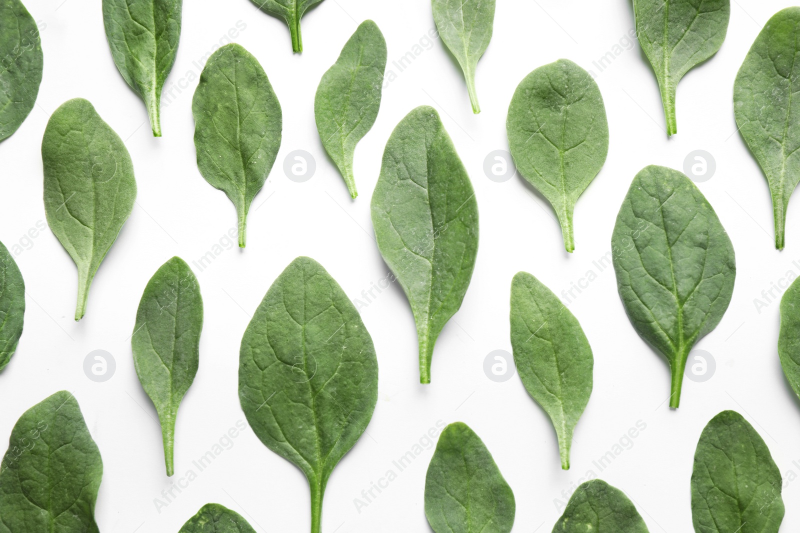 Photo of Fresh green healthy spinach leaves on white background, top view