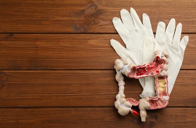 Photo of Human colon model and medical gloves on wooden table, flat lay. Space for text