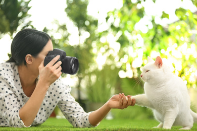Photo of Professional animal photographer taking picturebeautiful white cat outdoors