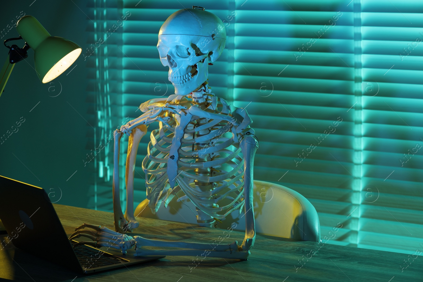 Photo of Waiting concept. Human skeleton sitting at wooden table with laptop indoors