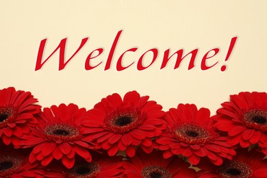 Welcome card. Beautiful red gerbera flowers and word on beige background, top view