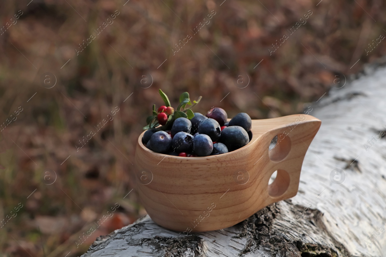 Photo of Wooden mug full of fresh ripe blueberries and lingonberries on log in forest