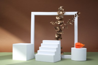 Photo of Autumn presentation for product. Geometric figures, golden branch with leaves and physalis on color background