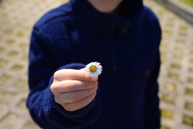 Photo of Woman holding beautiful chamomile flower outdoors, closeup