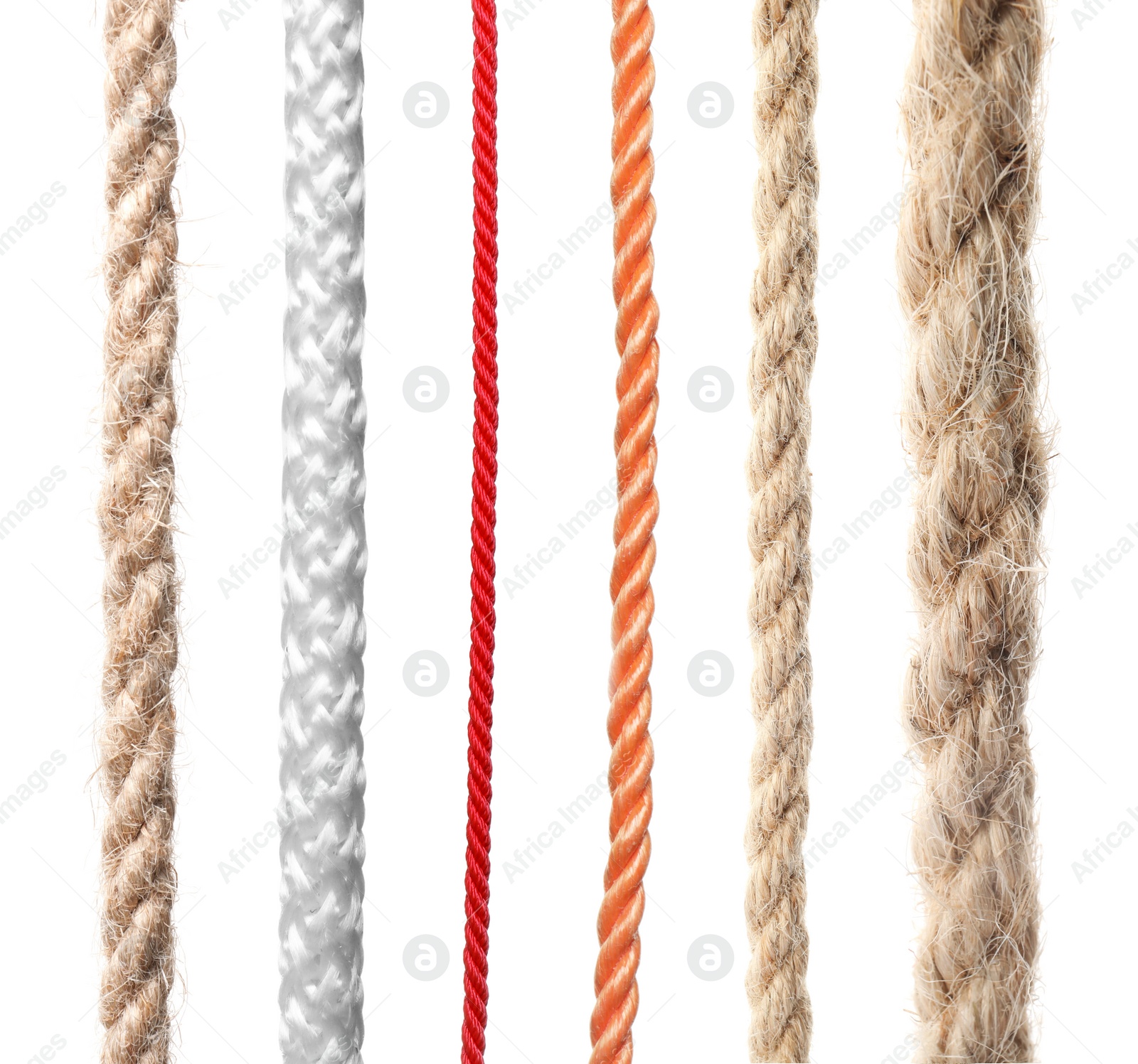 Image of Set of different ropes on white background