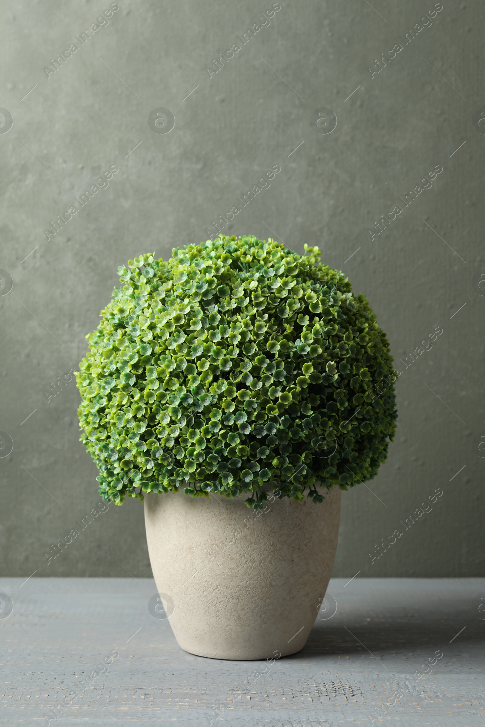 Photo of Artificial plant in ceramic flower pot on grey wooden table
