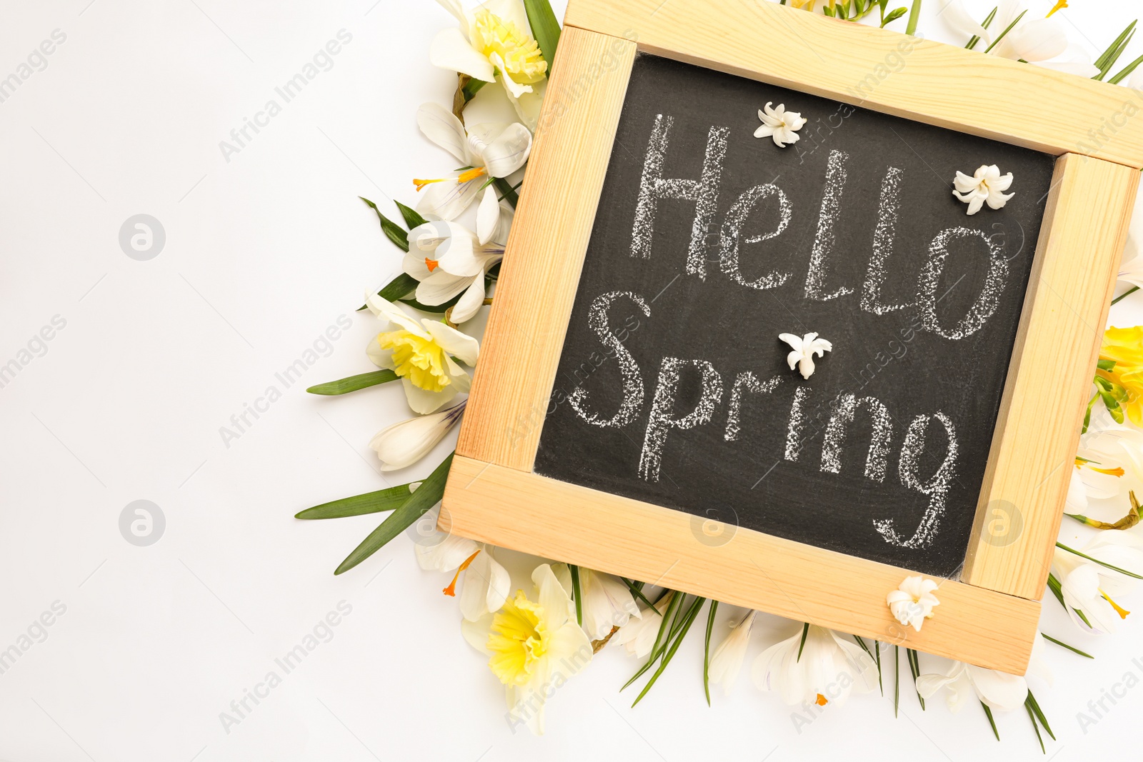 Photo of Blackboard with words HELLO SPRING and fresh flowers on white background, flat lay