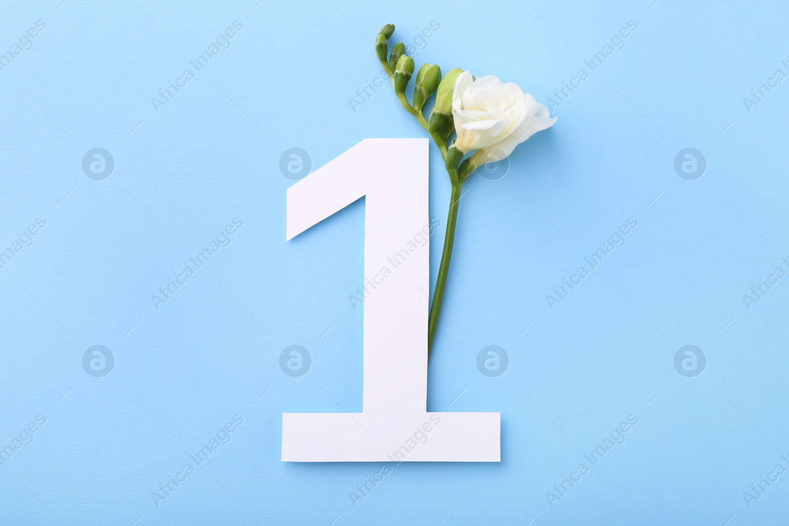 Photo of Paper number 1 and beautiful flower on light blue background, top view