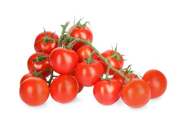 Photo of Branches of red ripe cherry tomatoes isolated on white