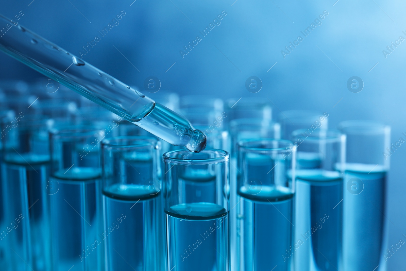 Photo of Dropping sample into test tube with liquid on blue background, closeup