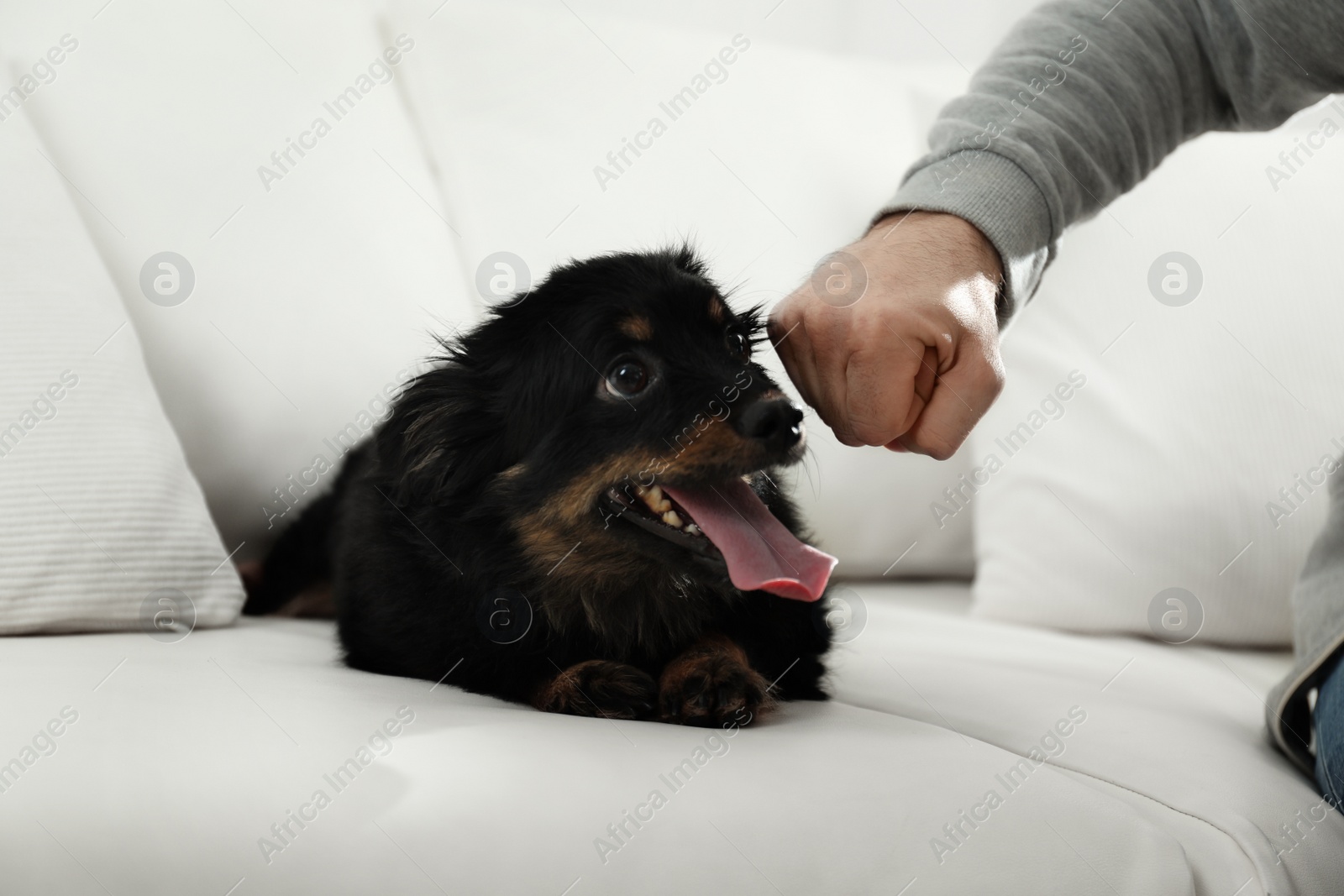 Photo of Man threatens dog at home, closeup. Domestic violence against pets