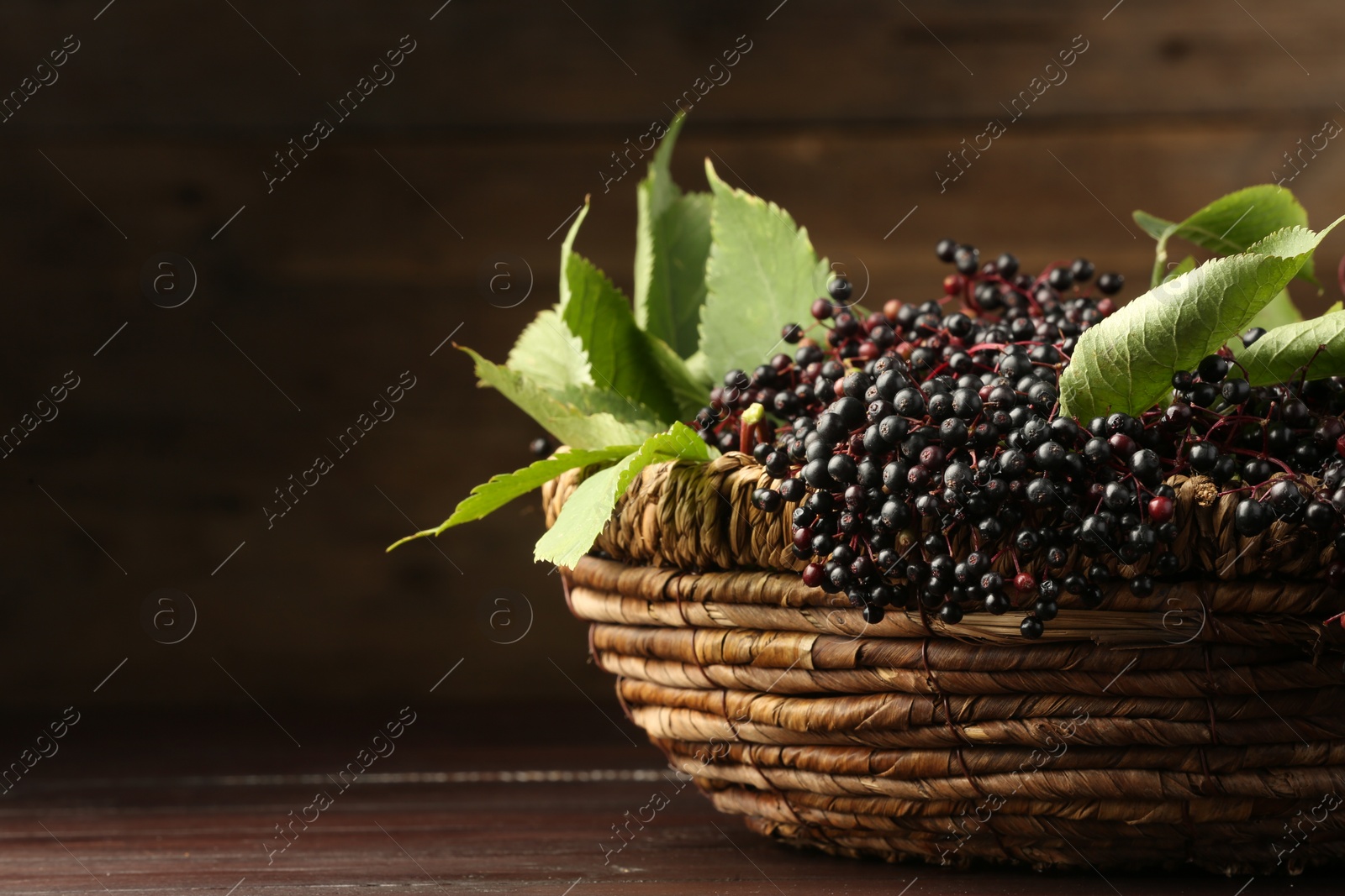 Photo of Ripe elderberries with green leaves in wicker basket on wooden table, space for text