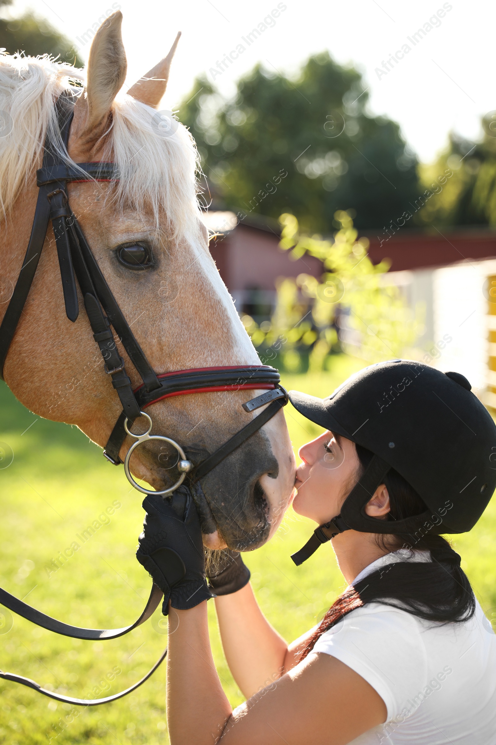 Photo of Young woman in horse riding suit and her beautiful pet outdoors on sunny day