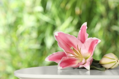 Photo of Beautiful pink lily flowers on table outdoors, space for text