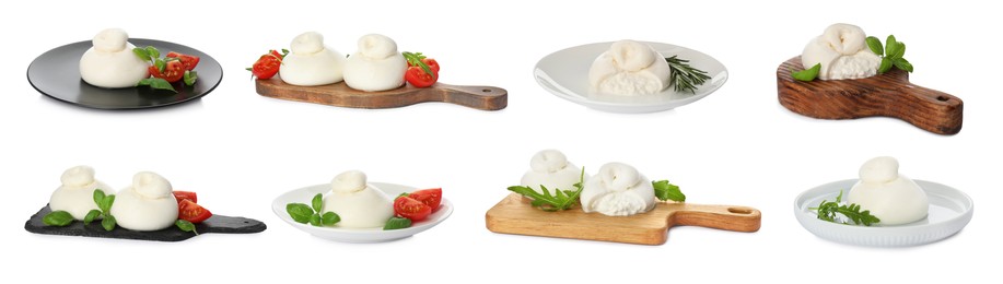 Image of Set with fresh delicious burrata cheese on white background. Banner design