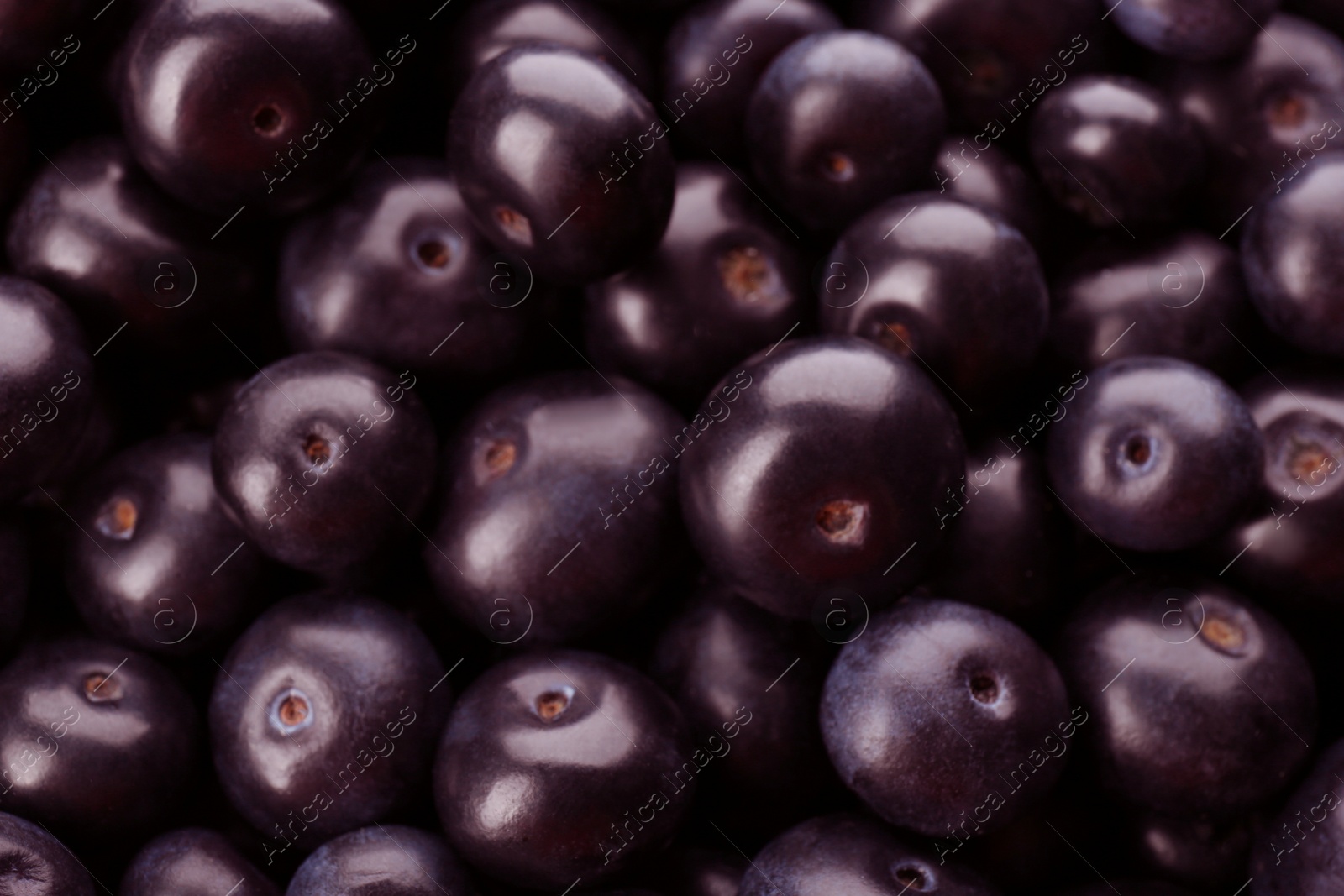 Photo of Fresh ripe acai berries as background, closeup