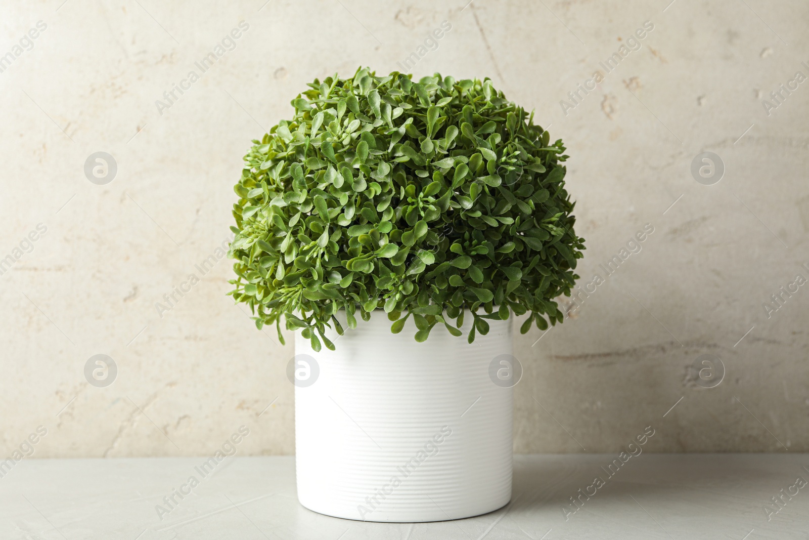 Photo of Artificial plant in white flower pot on table against light background