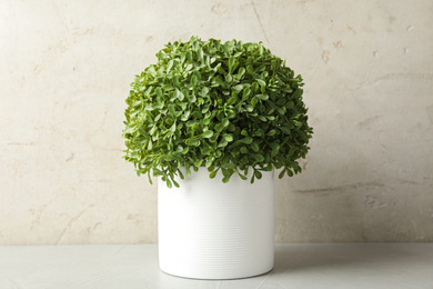 Photo of Artificial plant in white flower pot on table against light background