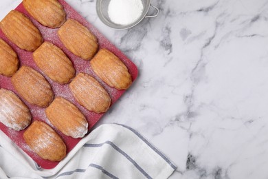 Photo of Delicious madeleine cookies in baking mold and sieve with powdered sugar on white marble table, flat lay. Space for text