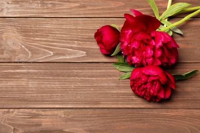 Beautiful blooming peony flowers on wooden background, top view