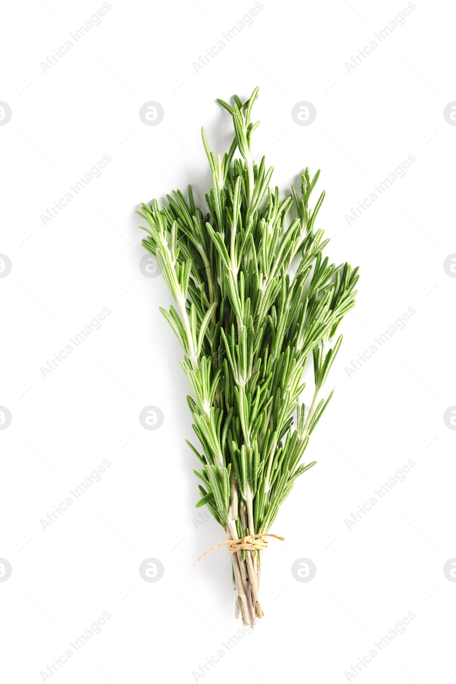 Photo of Fresh rosemary twigs tied with twine on white background