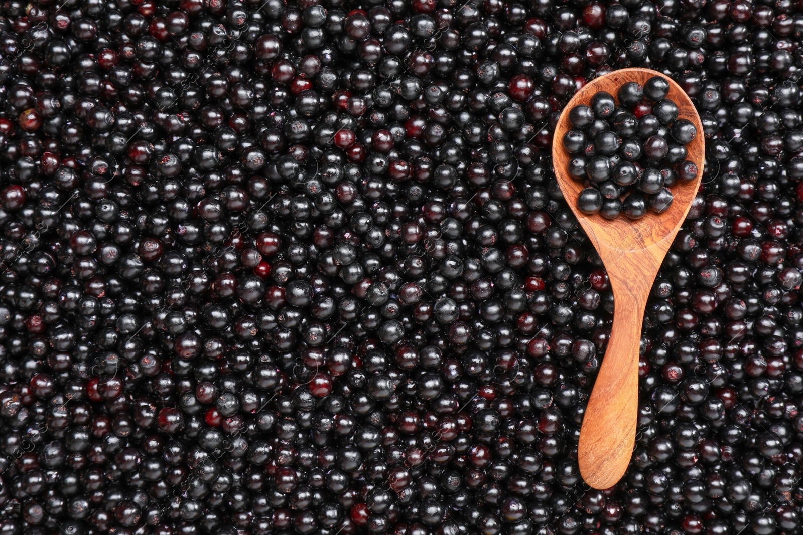 Photo of Spoon and many elderberries (Sambucus) as background, top view