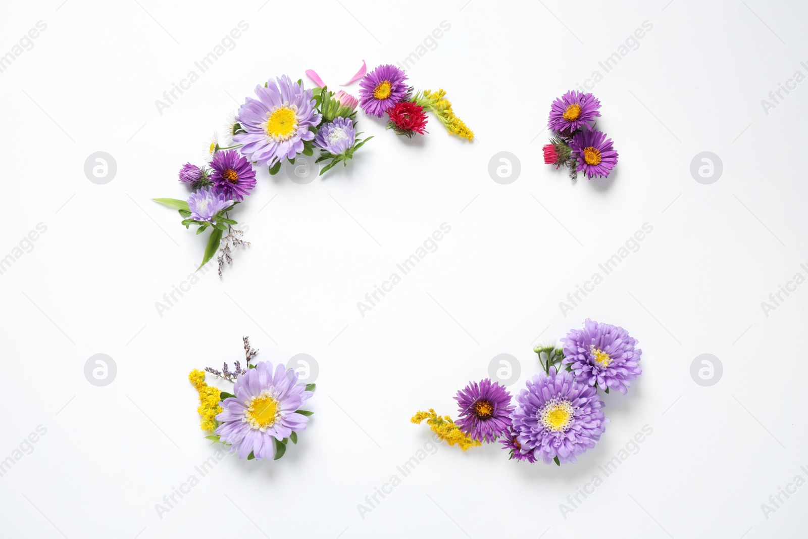 Photo of Composition with beautiful aster flowers on white background, top view. Space for text