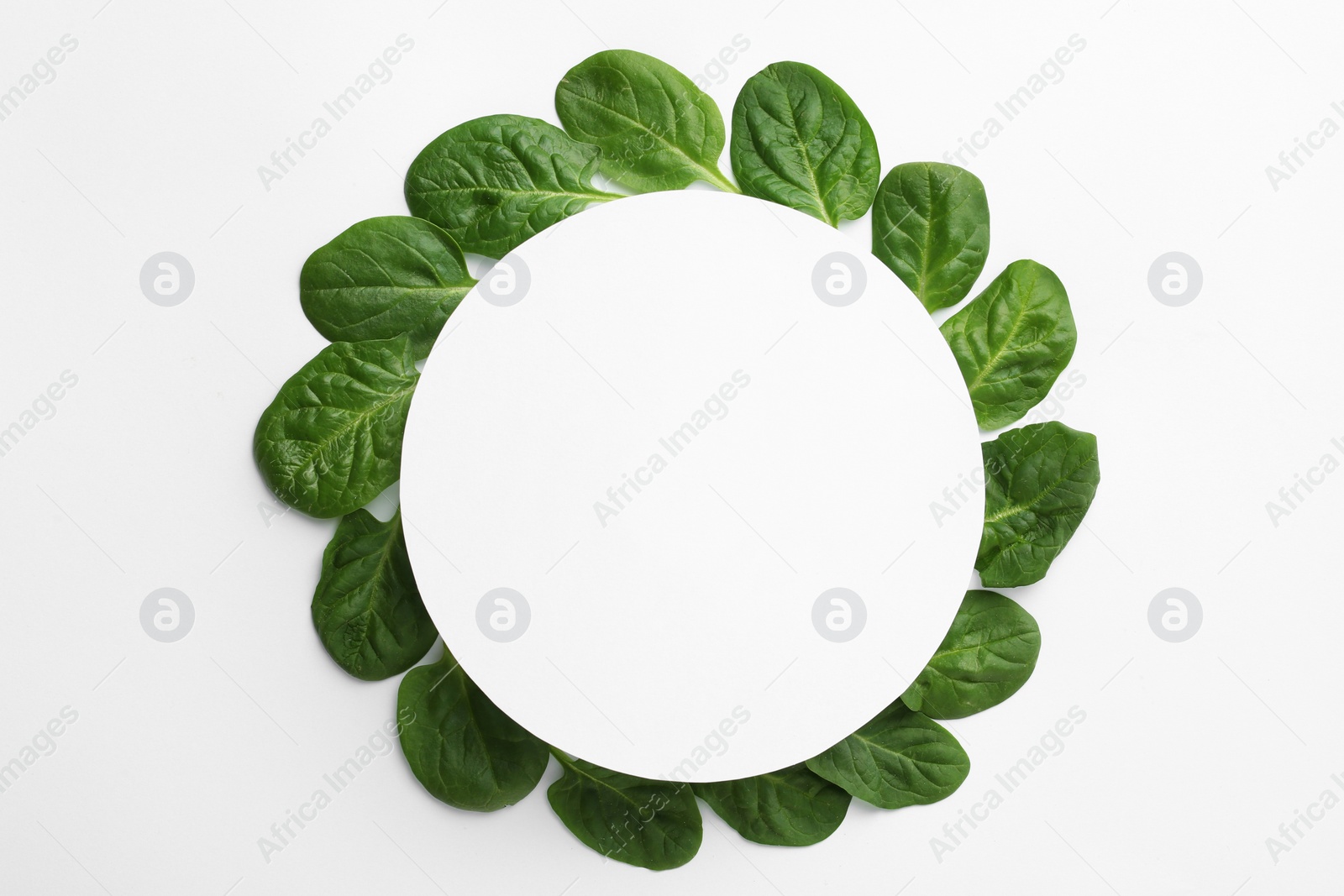 Photo of Blank card and fresh spinach leaves isolated on white, top view. Space for text