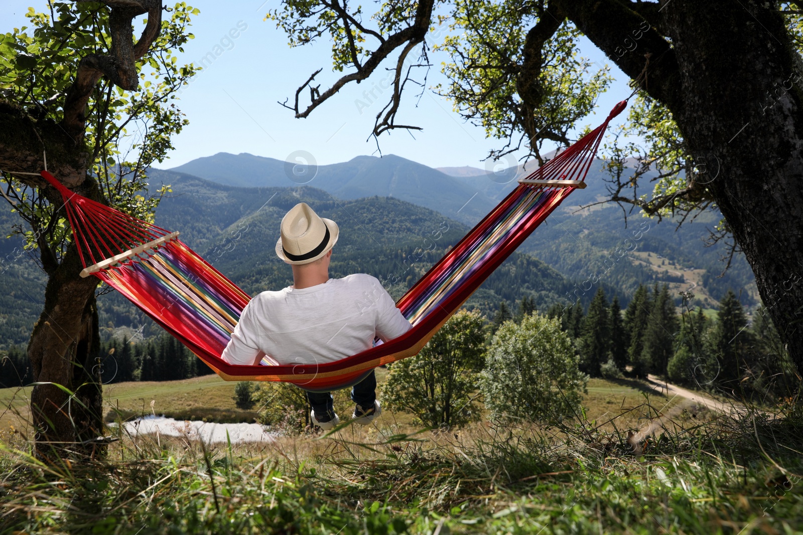 Photo of Man resting in hammock outdoors on sunny day, back view