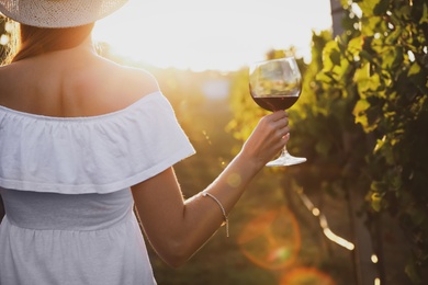 Photo of Young woman with glass of wine in vineyard on sunny day, back view