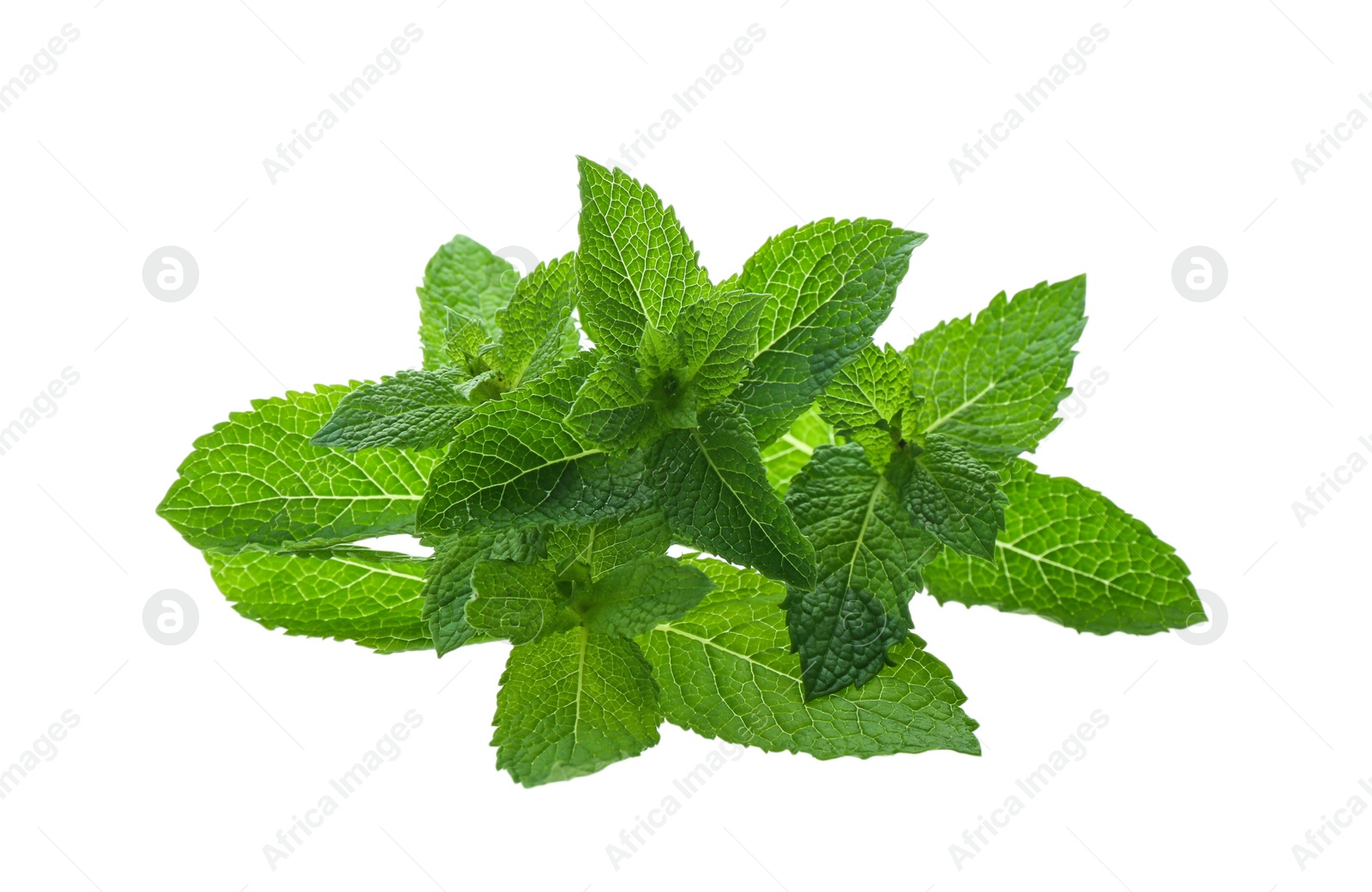 Photo of Fresh green mint leaves on white background