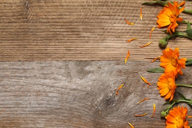 Photo of Beautiful fresh calendula flowers on wooden table, flat lay. Space for text