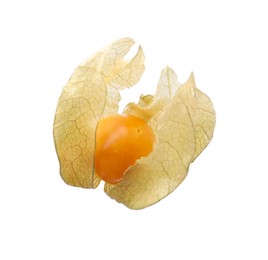 Ripe physalis fruit with calyx isolated on white