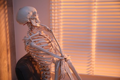 Waiting concept. Human skeleton sitting in armchair indoors, space for text