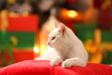 Photo of Cute white cat on pillow in room decorated for Christmas. Adorable pet