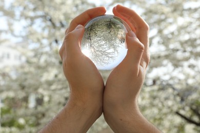 Photo of Beautiful tree with white blossoms outdoors, overturned reflection. Man holding crystal ball in spring garden, closeup