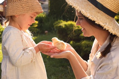 Happy mother and her little daughter with cute chick outdoors