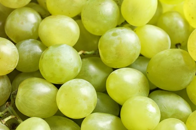 Photo of Fresh ripe juicy white grapes as background, closeup view