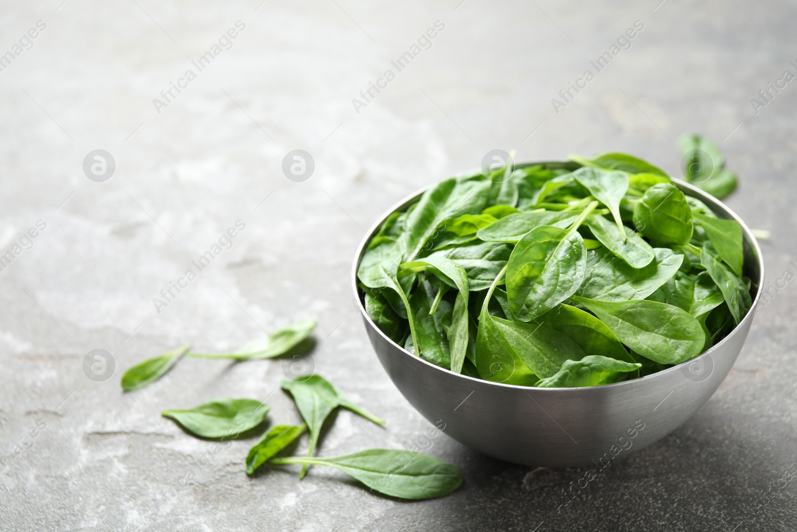 Photo of Fresh green healthy spinach on grey table. Space for text