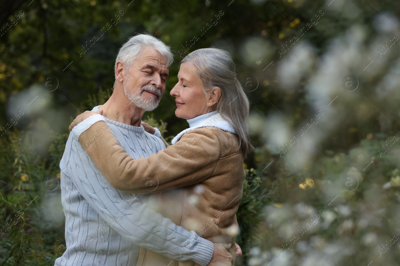 Photo of Affectionate senior couple dancing together outdoors, space for text