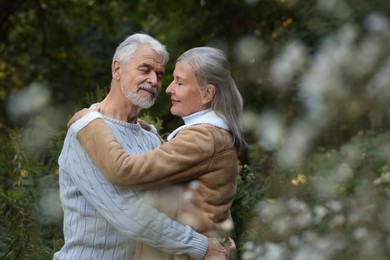 Affectionate senior couple dancing together outdoors, space for text