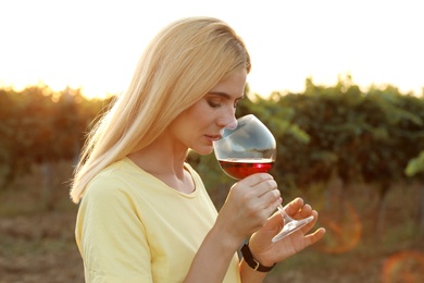 Photo of Young beautiful woman enjoying wine at vineyard on sunny day