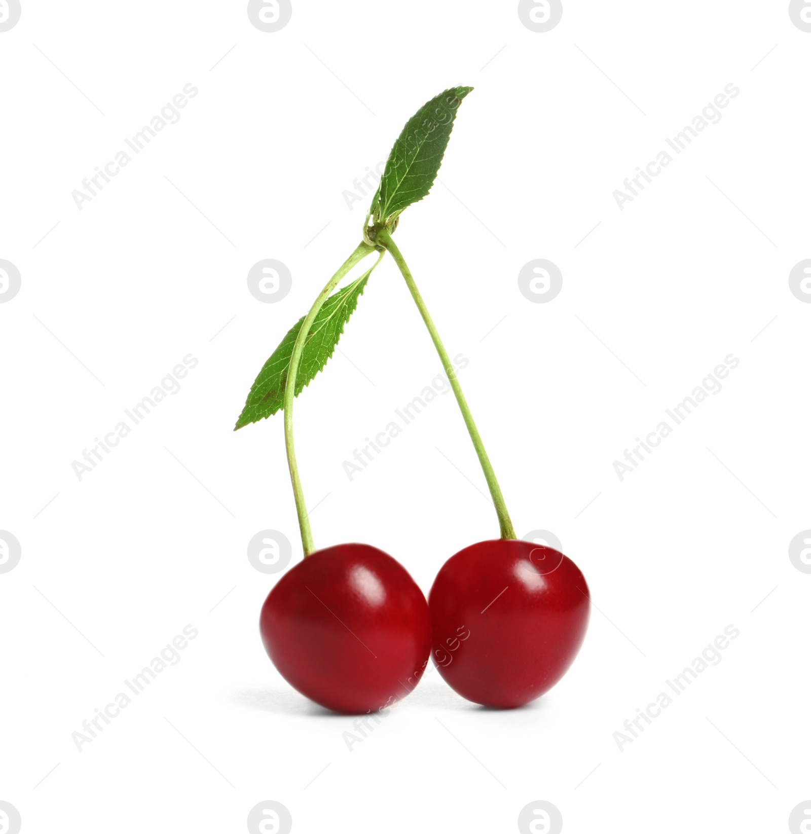 Photo of Delicious ripe sweet cherries on white background