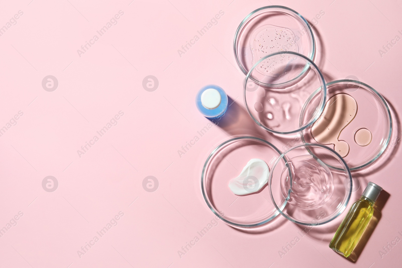 Photo of Many Petri dishes and cosmetic products on pink background, flat lay. Space for text