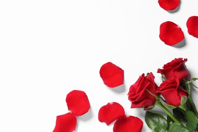 Photo of Beautiful red roses and petals on white background, top view. Space for text