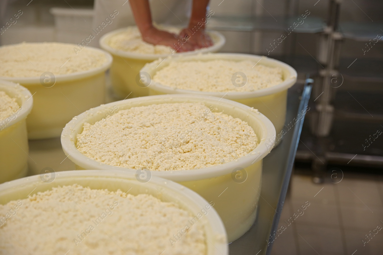 Photo of Moulds with pressed curd on table at cheese factory, closeup