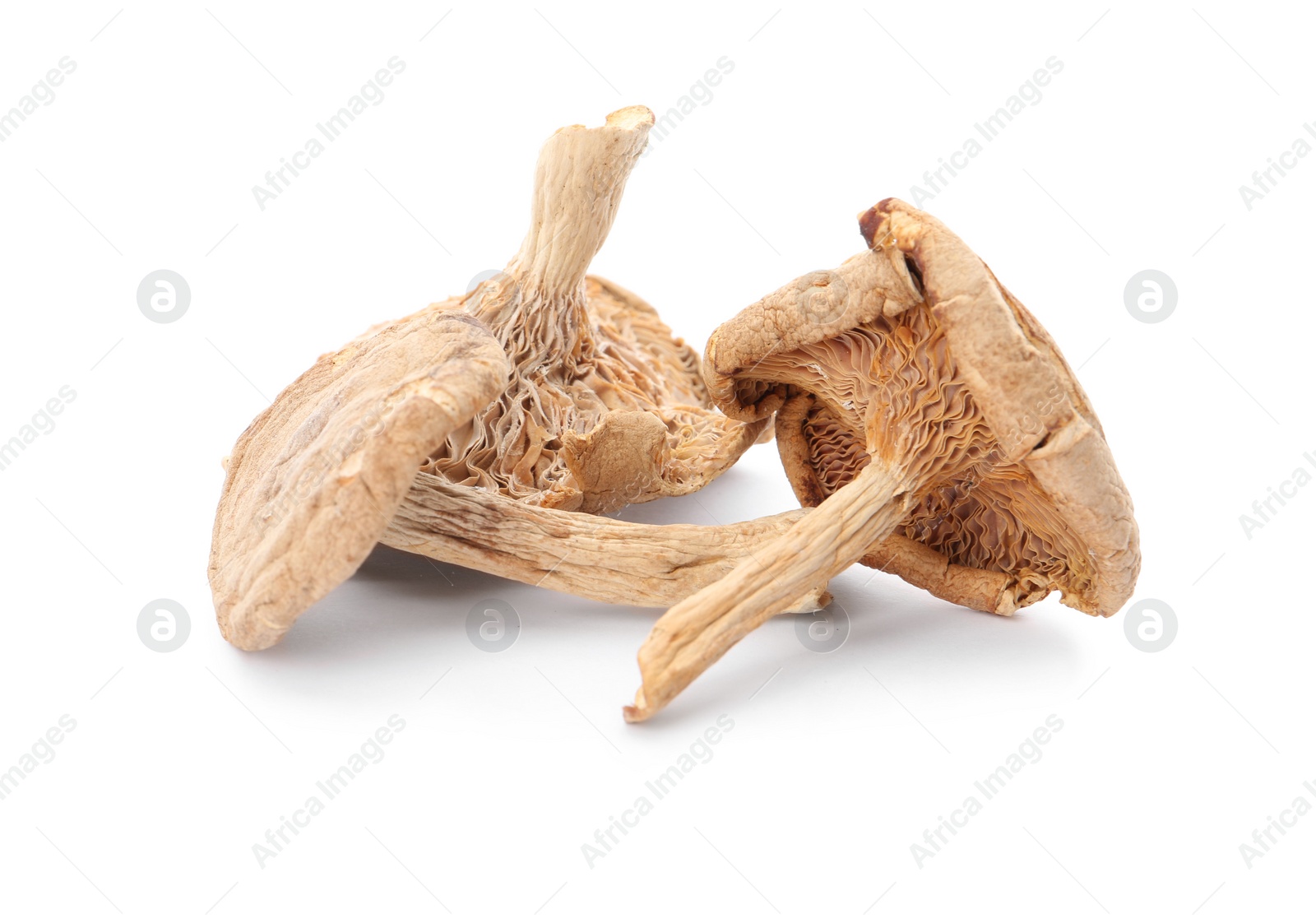 Photo of Delicious organic dried mushrooms on white background