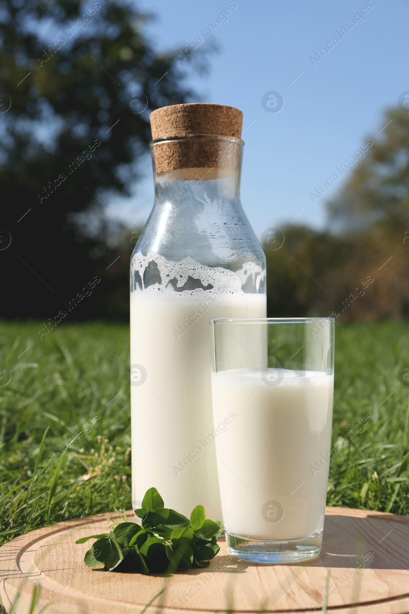 Photo of Glass and bottle of milk on wooden board outdoors